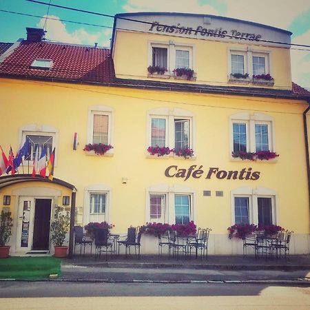 Penzion Fontis Terrae Hotel Trenčianske Teplice Екстериор снимка